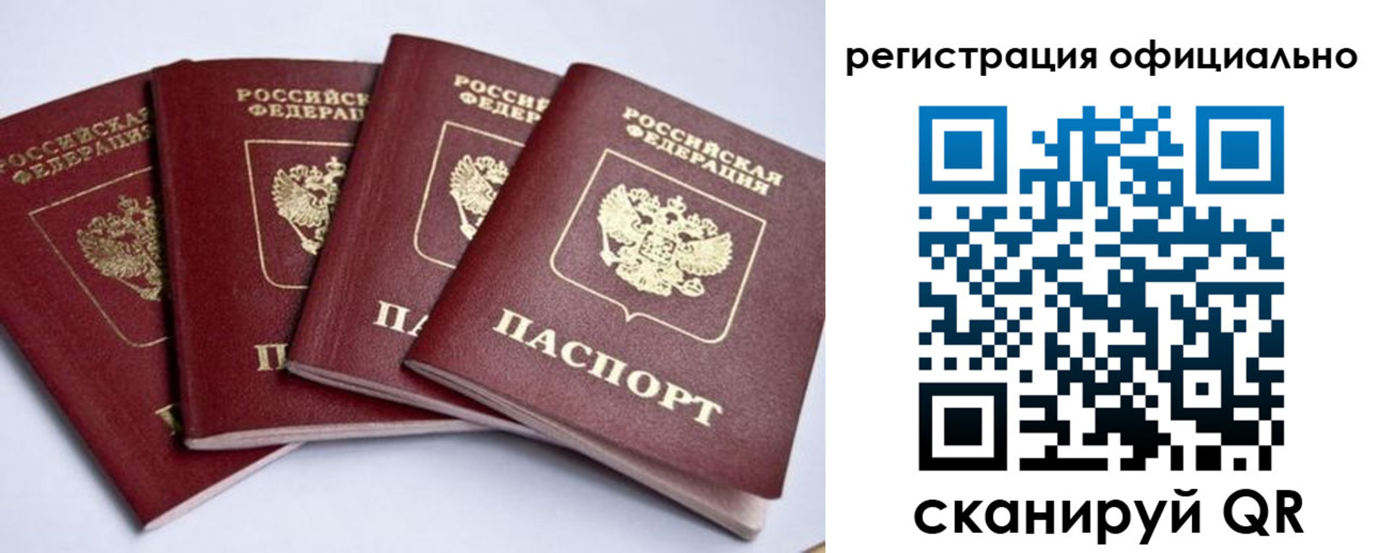 пропишу в квартире в Светлом